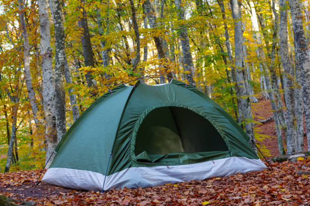 istock green touristic tent in a forest 1331108627