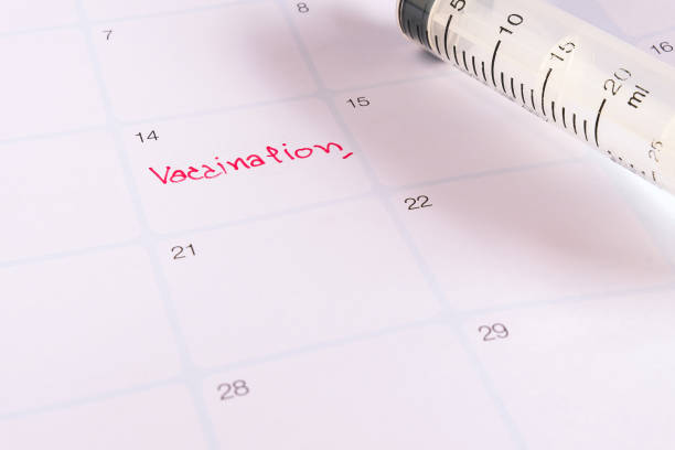 istock Appointment to vaccination on calendar to reminder. 1331109920