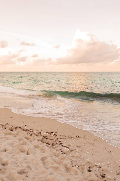 istock Pastel Sunset Sky Over the Palm Beach, Florida Shoreline 1331110235