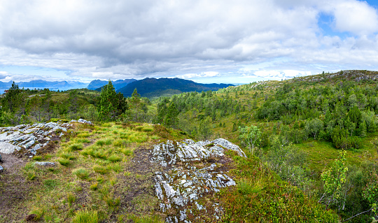 Wide panorama of the taiga rock hills and forests of Northern Norway. Moss and grasses on the rocks. Mountains on the horizon. Summer.