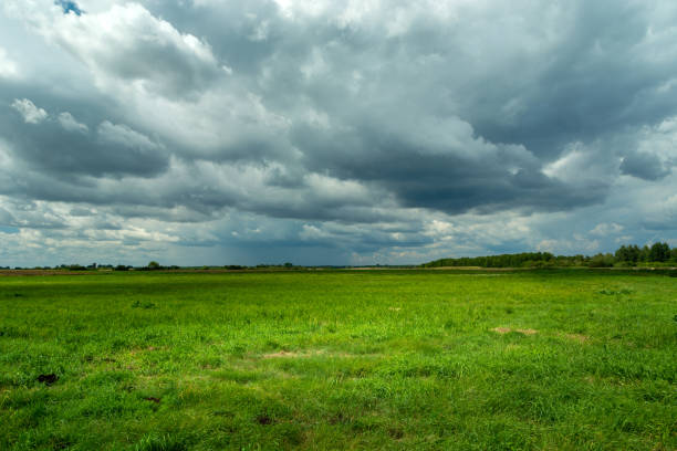 istock Cloud with rain on the horizon and green meadow 1331111825