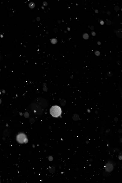 istock Bokeh of white snow on a black background. Snowfall - design element. 1331111907