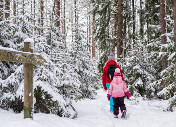 kaukaska rodzina spaceruje po zimowym lesie. mama i 6-letnia dziewczyna spędzają czas na łęce. - 6 7 years lifestyles nature horizontal zdjęcia i obrazy z banku zdjęć