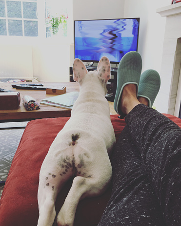 POV of woman feet up with French Bulldog on sofa watching TV