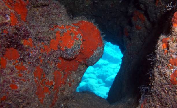 istock Rocks underwater inside a cave on the seashore, natural scene, Mediterranean sea 1331115292
