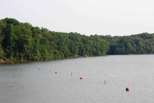 istock Lake in the Countryside 1331120325