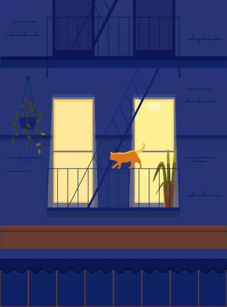 Vector illustration of night blue house, yellow windows and orange cat