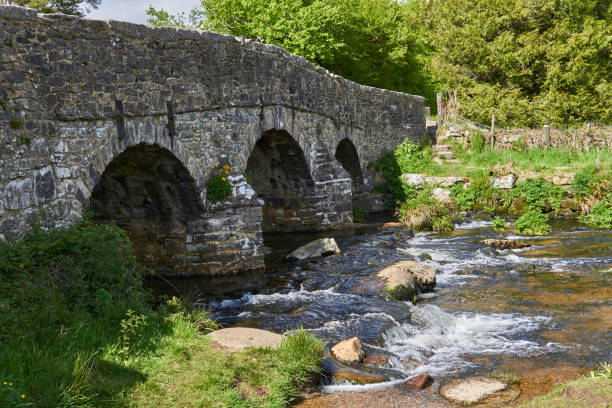 istock Medieval clapper bridge over the East Dart River at Postbridge on Dartmoor in Devon, West Country, England, UK 1331124937