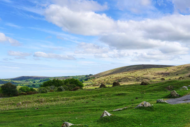 istock Dartmoor National Park, Devon, England, UK 1331124955