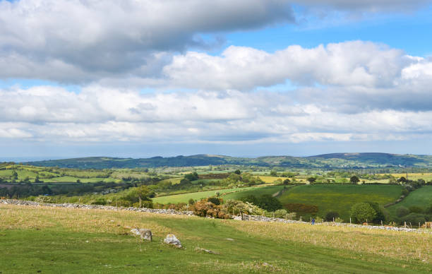 istock Dartmoor National Park, Devon, England, UK 1331125002