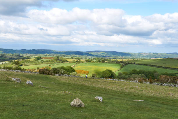 istock Dartmoor National Park, Devon, England, UK 1331125043