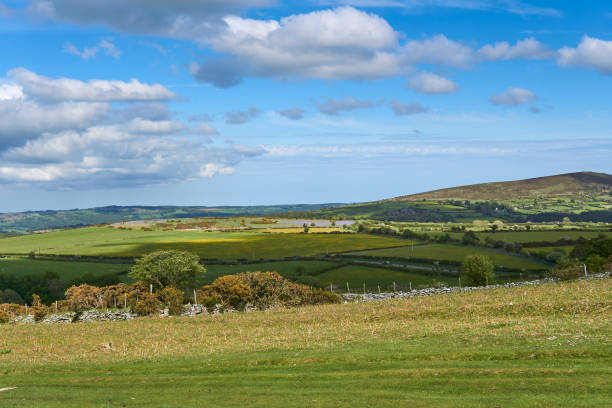 istock Dartmoor National Park, Devon, England, UK 1331125047