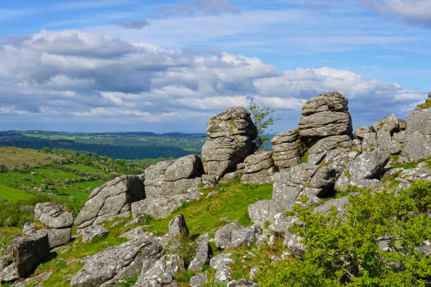 istock Hound Tor in Dartmoor National Park. Devon, England, UK 1331125719