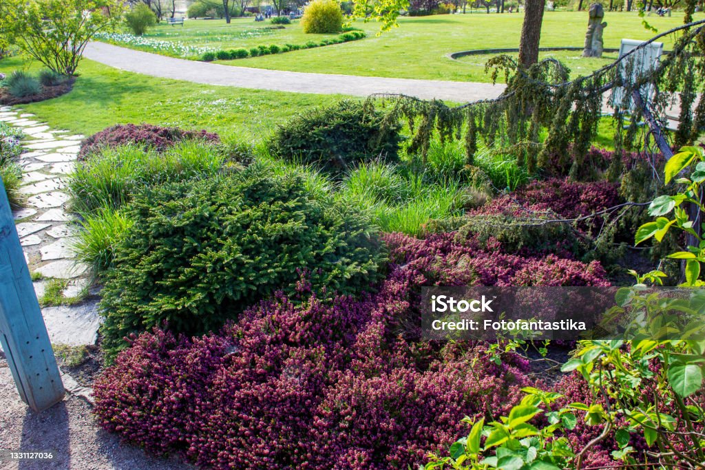 Idyllic panorama of european part of Gardens(dedicated Karl Foerster)n of the world in Marzahn near Berlin :  flower beds and fresh meadows and footpaths in sunbeams Berlin Stock Photo