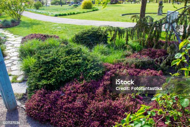 Idyllic Panorama Of European Part Of Gardensn Of The World In Marzahn Near Berlin Flower Beds And Fresh Meadows And Footpaths In Sunbeams Stock Photo - Download Image Now