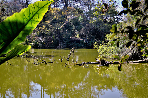 The beautiful view of the lake from the park of the city of São José dos Campos on sunny day