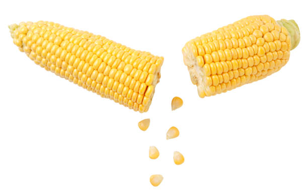 istock Peeled corn on the cob and broken drops on a white background, corn cut. Isolated 1331130467