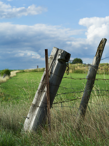 Fence posts on the edge of a field in July.
