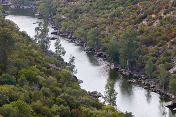 istock Jandula River as it passes through the Andujar Natural Park, Jaen 1331130858