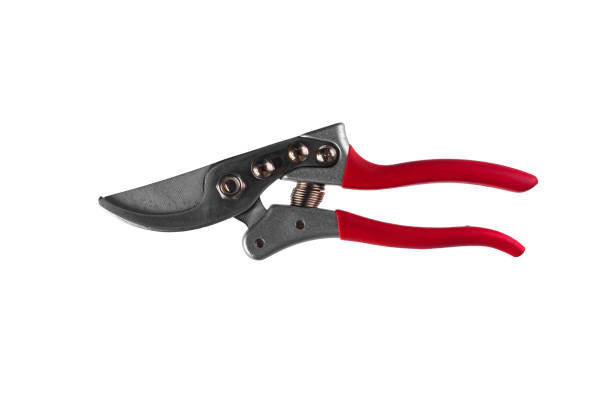 istock Garden shears isolated on white background. 1331130917