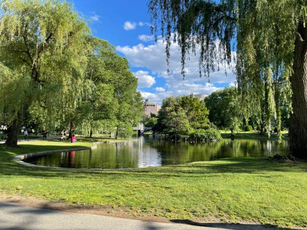 池、橋、空1 - boston public garden ストックフォトと画像