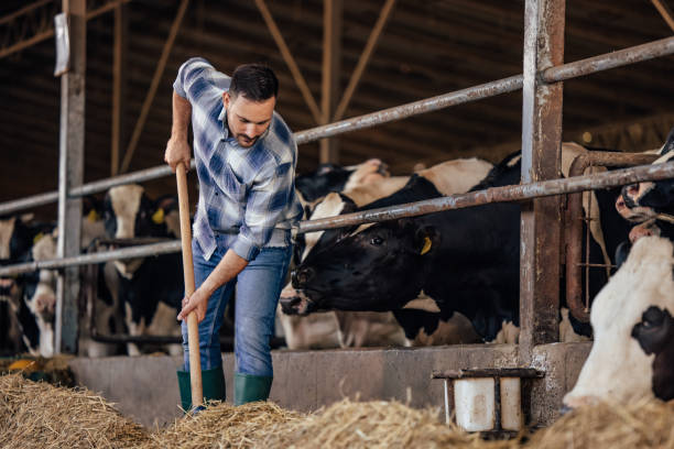 istock Adult man, having a busy day. 1331131961