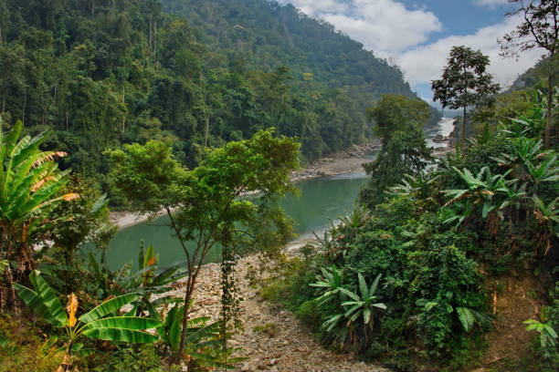 istock A calm mountain river of the Himalayas 1331132297