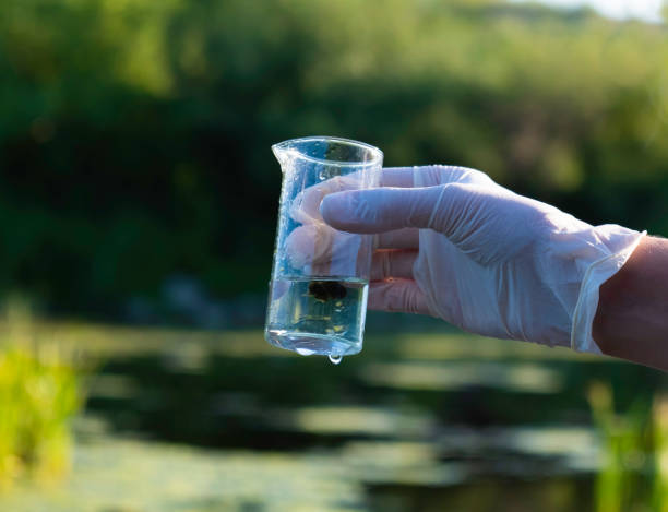 échantillons d’eau de rivière. la main tient un ballon chimique avec un liquide, un lac ou une rivière en arrière-plan. - toxic substance dirt pollution scientific experiment photos et images de collection