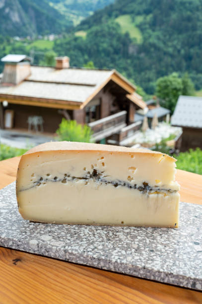 cheese collection, french cheese made from raw cow milk morbier and french mountains village in haute-savoie on background - morbier imagens e fotografias de stock