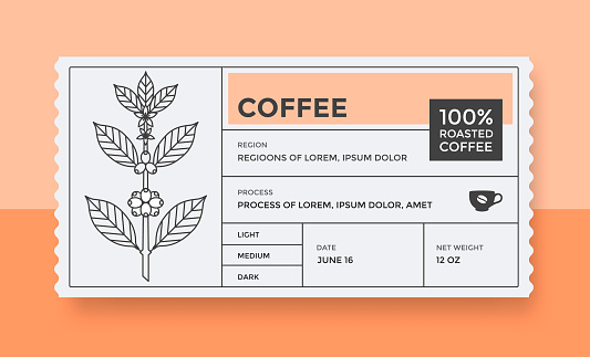 Packaging design for coffee. Vector vintage product label template. Retro package with Coffee branch.