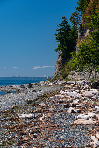 The beach at Possession Point State Park on Whidbey Island in the Puget Sound.  Cliffs with evergreen growth line the driftwood-strewn sand and pebble beach.