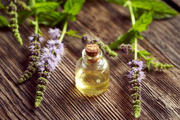 istock A bottle of aromatherapy essential oil  with fresh peppermint 1331153024