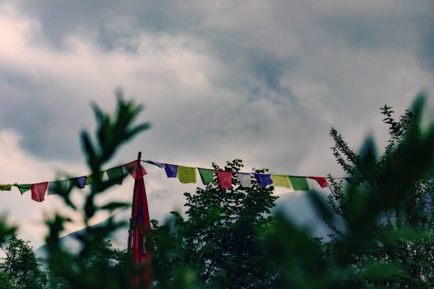 bandiere tibetane colorate. vegetazione in primo piano. nuvole e montagne sullo sfondo. concetto di cultura tibetana, buddismo. - tibetan buddhism wind tibet horizontal foto e immagini stock