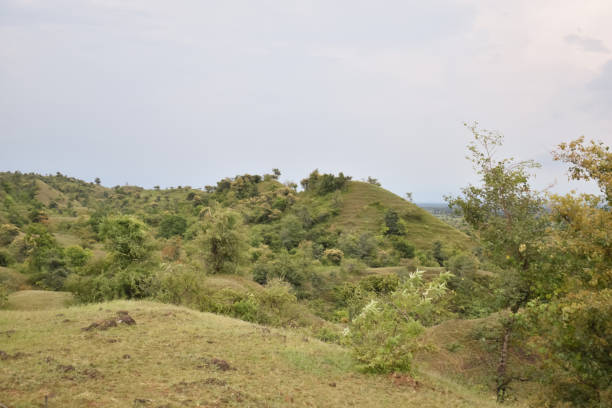 istock mountain with green grass and beautiful sky 1331158693