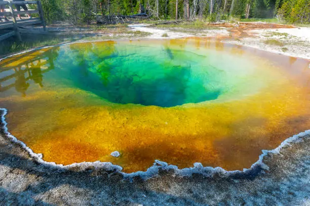 The Morning Glory Pool seen from the boardwalk at Yellowstone National Park, Wyoming, USA