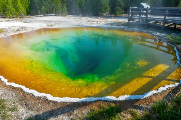 The Morning Glory Pool, one of the more popular thermal springs in Yellowstone National Park