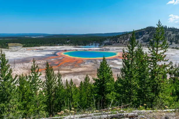 The Grand Prismatic Spring seen from a overlook in Yellowstone National Park