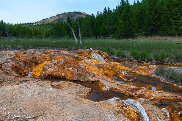 istock Fairy Creek Little Firehole trail 1331168035