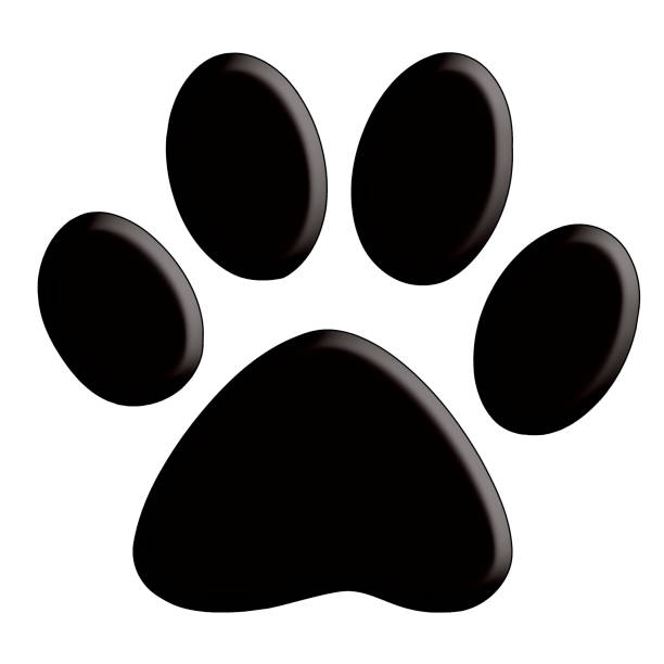 istock Dog paw with inside relieve 1331168325