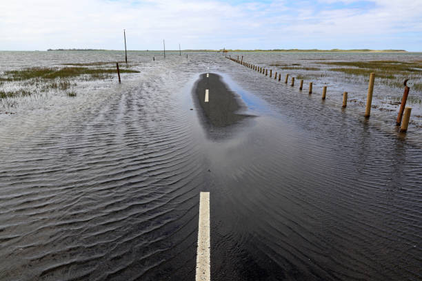 High water has completely flooded a road. Dangerous storm with a lot of rain High water has completely flooded a road. Dangerous storm with a lot of rain high tide stock pictures, royalty-free photos & images