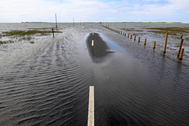 a água alta inundou completamente uma estrada. tempestade perigosa com muita chuva - high tide - fotografias e filmes do acervo