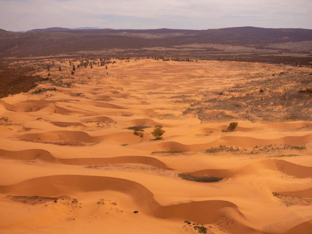 istock Pink Coral Sand Dunes in Utah 1331170094