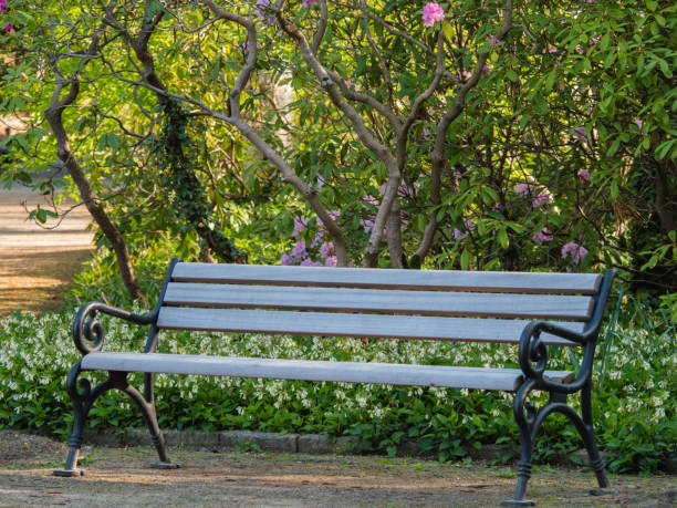 istock Wooden bench to rest in a park 1331171483