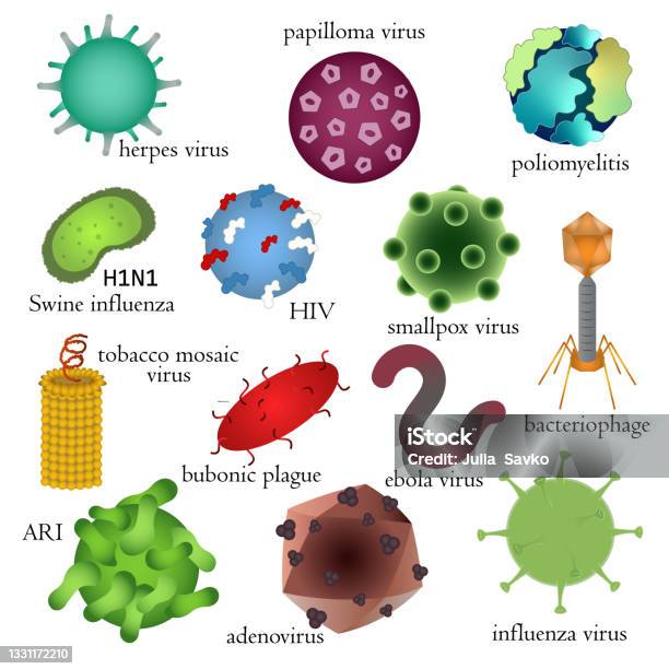 위험한 인간 바이러스의 집합 의료 일러스트레이션 소아마비 바이러스에 대한 스톡 벡터 아트 및 기타 이미지 - 소아마비 바이러스, 벡터, 천연두바이러스