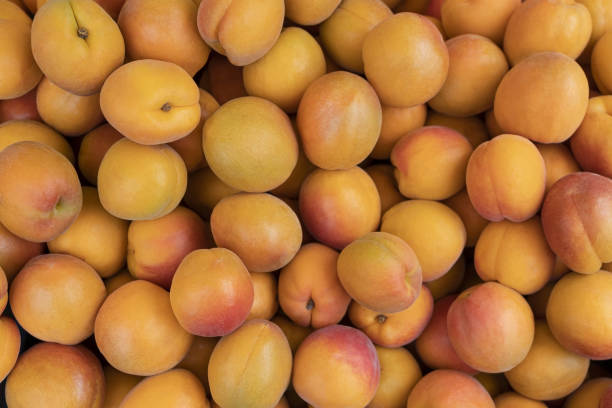 istock Fresh Ripe apricot fruit, full frame background, top view 1331172353