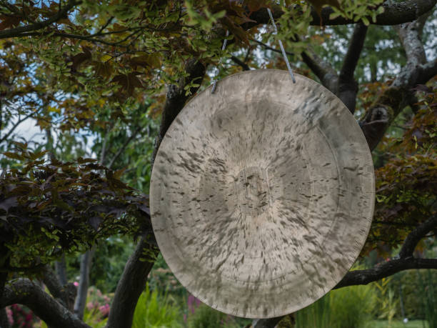 Gong for sound massage hangs in a tree