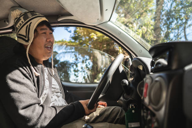 車の自然の冬を運転する日本人男性 - car prowler ストックフォトと画像