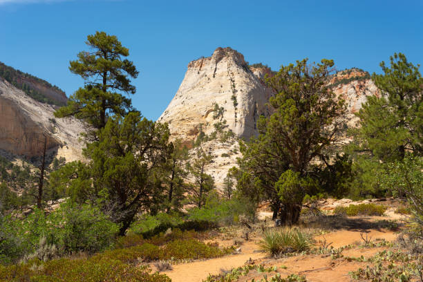 istock Zion East end landscape. 1331178659