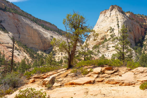 istock Zion East end landscape. 1331178660