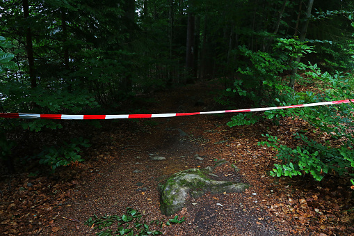 A forest road is closed with a red and white barrier tape